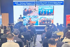 Chương trình “Kết nối doanh nghiệp bền vững và đầu tư xã hội năm 2026” giữa Việt Nam và Singapore. (Ảnh: Ngọc Khương/TTXVN)