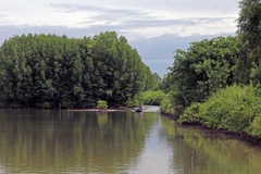 Mô hình nuôi tôm, cua dưới tán rừng đước tại xã Phan Ngọc Hiển. (Ảnh: Huỳnh Anh/TTXVN)