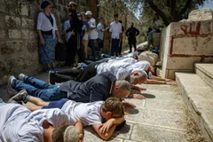 Người Do Thái quỳ lạy trên Núi Đền/Al-Aqsa tại Thành cổ Jerusalem. (Nguồn: Báo Times of Israel)