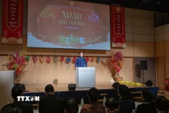 Đại sứ Việt Nam tại Nhật Bản Phạm Quang Hiệu phát biểu khai mạc chương trình. (Ảnh: Xuân Giao/TTXVN)