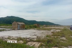 Diêm dân bỏ nghề, những đồng muối ở xã Hoa Lộc, Thanh Hóa bị bỏ hoang. (Ảnh: Nguyễn Nam/TTXVN)