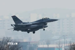 Máy bay chiến đấu F-16. (Nguồn: Yonhap/TTXVN)