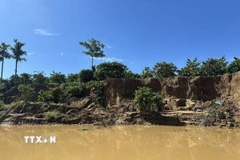 Sạt lở đất ven sông Krông Nô, đoạn qua xã Quảng Phú, tỉnh Lâm Đồng do ảnh hưởng của mưa lũ. (Ảnh: Hưng Thịnh/TTXVN)