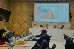 Đoàn Việt Nam dự phiên họp. (Nguồn: TTXVN phát)