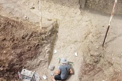 Ảnh minh họa. (Nguồn: Times of Israel)