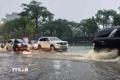 (Ảnh minh họa: Văn Điệp/TTXVN)