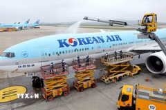 Máy bay của Hãng hàng không Korean Air (Hàn Quốc) tại sân bay quốc tế Incheon. (Nguồn: Yonhap/TTXVN)
