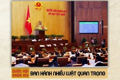 Quốc hội khóa XIV: Ban hành nhiều luật quan trọng