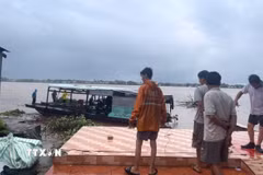 Sạt lở bờ sông Tiền thuộc ấp Tân Quới, xã Tân Long, tỉnh Đồng Tháp làm 4 căn nhà của người dân đổ sụp xuống sông. (Nguồn: TTXVN phát)