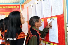 Cử tri đồng bào dân tộc thiểu số Xê Đăng, xã Trà Linh, thành phố Đà Nẵng đến điểm bầu cử tìm hiểu tiểu sử các ứng cử viên Quốc hội và HĐND. (Ảnh: Trần Tĩnh/TTXVN)