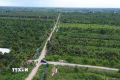 Dự án Khu công nghiệp Tân Phước 1 có quy mô sử dụng đất 470ha, tổng vốn đầu tư hơn 5.936 tỷ đồng. (Ảnh: Công Trí/TTXVN)