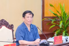 Chủ tịch Ủy ban Nhân dân tỉnh An Giang Hồ Văn Mừng phát biểu tại buổi làm việc. (Ảnh: Văn Sĩ/TTXVN)