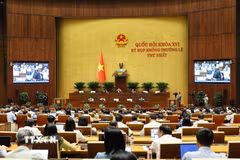 Chiều 10/8/2026, tại Hà Nội, Quốc hội thảo luận ở hội trường về: Dự án Luật sửa đổi, bổ sung một số điều của Luật Trách nhiệm bồi thường của Nhà nước; Dự án Luật sửa đổi, bổ sung một số điều của Luật Kiến trúc. (Ảnh: Doãn Tấn/TTXVN)