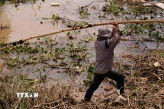 Người dân thôn Tân Lập, xã Ka Đô, Lâm Đồng dọn dẹp vườn rau để tranh thủ thời gian khôi phục sản xuất. (Ảnh: Nguyễn Dũng/TTXVN)