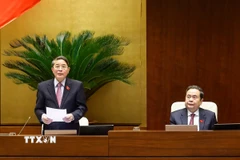 Phó Chủ tịch Quốc hội Nguyễn Đức Hải phát biểu. (Ảnh: Doãn Tấn/TTXVN)