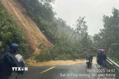 Ảnh minh họa. (Nguồn: TTXVN phát)