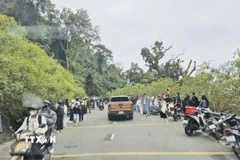 Du khách tập trung rất đông chụp ảnh trên những cung đường hoa dã quỳ rực rỡ. (Ảnh: Tuyết Mai/TTXVN)