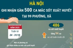 Hà Nội ghi nhận gần 500 ca mắc sốt xuất huyết trong tuần qua