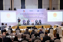 Phó Thủ tướng Bùi Thanh Sơn phát biểu tại hội nghị. (Ảnh: An Đăng/TTXVN)