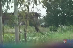 Campuchia và Thái Lan tái khẳng định cam kết thực thi lệnh ngừng bắn