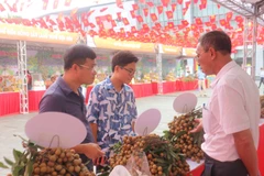 Người dân, du khách tham quan, mua sắm nhãn tại phiên chợ. (Ảnh: Mạnh Khánh/TTXVN)