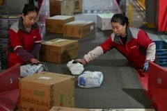 Công nhân Trung Quốc phân loại các gói hàng tại kho của JD trong Ngày độc thân. (Nguồn: RTE)