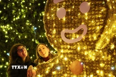 Công viên được trang hoàng rực rỡ đón Giáng sinh tại Rome, Italy. (Nguồn: THX/TTXVN)