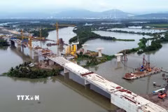 (Ảnh minh họa: Đức Hiếu/TTXVN)