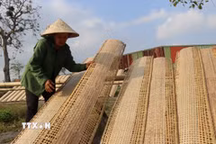 Người dân tranh thủ trời nắng phơi bánh ram. (Ảnh: Hoàng Ngà/TTXVN)