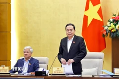 Chủ tịch Quốc hội Trần Thanh Mẫn phát biểu. (Ảnh: Doãn Tấn/TTXVN)