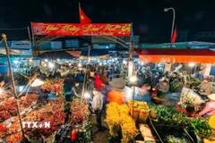 Chợ hoa đêm Quảng Bá trong những ngày sát Tết. Ảnh: Phạm Tuấn Anh - TTXVN