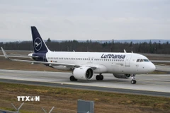 Máy bay của hãng hàng không Lufthansa tại sân bay Frankfurt, Đức. (Nguồn: THX/TTXVN)