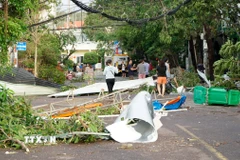 Bão số 13 làm nhiều cây xanh tại Quy Nhơn bị ngã đổ. (Ảnh: Đình Quân/TTXVN)