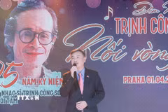 Đại sứ Việt Nam tại Cộng hòa Séc Dương Hoài Nam phát biểu tại sự kiện. (Ảnh: Việt Thắng/TTXVN)