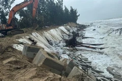 Nhờ thực hiện các giải pháp khẩn cấp, tình trạng sạt lở bờ biển nghiêm trọng đã tạm thời được ngăn chặn trước sự xâm thực của sóng biển do ảnh hưởng của bão số 12. (Ảnh: Đoàn Hữu Trung/TTXVN)
