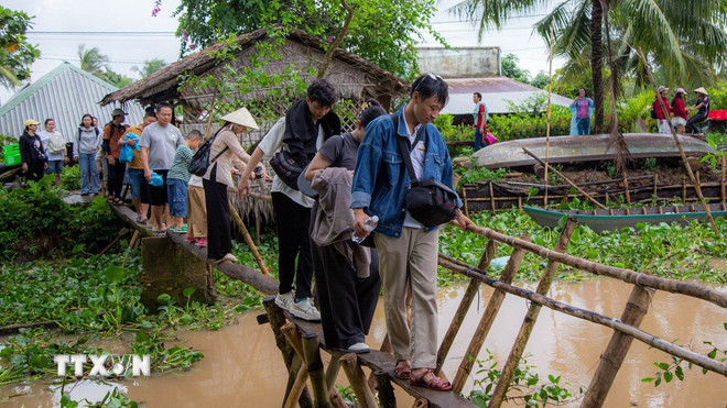Đến Cồn Sơn, du khách trải nghiệm đi qua các cây cầu khỉ bắc ngang những con rạch trên cồn. (Ảnh: Thanh Liêm/TTXVN) ttxvn-con-son-10-nam-lan-toa-net-dep-van-hoa-mien-tay-8192241-2.jpg