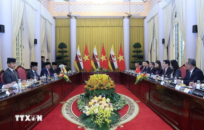 ttxvn-chu-tich-nuoc-luong-cuong-hoi-dam-voi-quoc-vuong-brunei-8443270-3.jpg