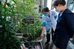 Nhân viên y tế tuyên truyền, kiểm tra việc diệt lăng quăng tại các vật dụng chứa nước thừa ở các hộ dân. (Ảnh: Minh Quyết/TTXVN)