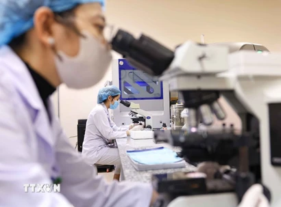 Ảnh minh họa. ( Ảnh: Thanh Tùng/TTXVN)