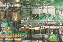 Luôn đổi mới và sáng tạo trong sản xuất, theo đuổi sự phát triển bền vững.