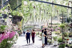 Du khách tham quan Festival hoa lan Thành phố Hồ Chí Minh lần thứ 2 năm 2023. (Ảnh: Xuân Anh/TTXVN)