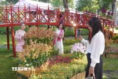 Tiểu cảnh mang đặc trưng vùng miền thu hút nhiều người dân, du khách tại Festival Hoa Lan Thành phố Hồ Chí Minh năm 2025. (Ảnh: Trung Tuyến/TTXVN)