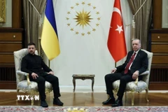 Tổng thống Ukraine Volodymyr Zelensky (trái) và Tổng thống Thổ Nhĩ Kỳ Tayyip Erdogan tại cuộc gặp ở Ankara ngày 15/5/2025. (Reuters/TTXVN)