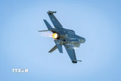 Máy bay chiến đấu F-35 Lightning II của Mỹ. (Ảnh: PAP/TTXVN)