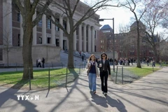 Sinh viên tại Đại học Havard. (Ảnh: Reuters/TTXVN)