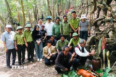 Chính quyền địa phương cùng dân làng chứng kiến Già làng làm thủ tục cúng Thần rừng trong Lễ cúng rừng. (Ảnh: Hồng Điệp/TTXVN)