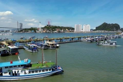 Các tàu du lịch neo đậu tại Cảng tàu khách quốc tế Hạ Long (Quảng Ninh). (Ảnh: Đức Hiếu/TTXVN)