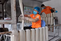 Công nhân tại một doanh nghiệp. (Ảnh: Trần Việt/TTXVN)