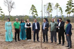 Những mảnh đất ở Lào chờ làn sóng đầu tư mới: Cơ hội cho doanh nghiệp Việt Nam