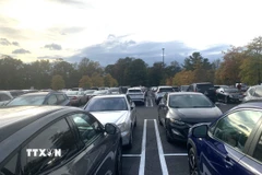 Ảnh minh họa. (Ảnh: Ngọc Quang/TTXVN)